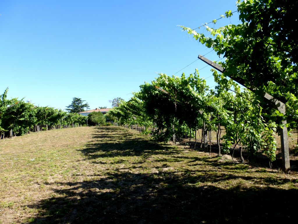 Farm